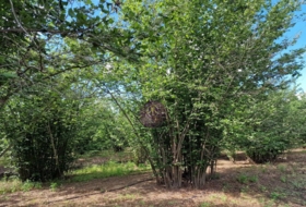 Foto 17