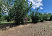 Finca rústica en venta en la España, Vilallonga del Camp, ref: TR210354 foto