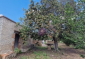 Finca rústica en venta en la España, Vilallonga del Camp, ref: TR210354 foto