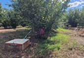 Finca rústica en venta en la España, Vilallonga del Camp, ref: TR210354 foto