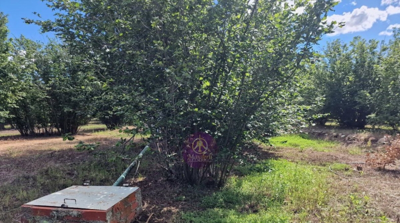 Tarragona - Vilallonga del Camp - 10000m2