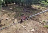 Finca rústica en venta en la España, Vilallonga del Camp, ref: TR210354 foto