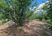 Finca rústica en venta en la España, Vilallonga del Camp, ref: TR210354 foto