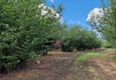 Finca rústica en venta en la España, Vilallonga del Camp, ref: TR210354 foto