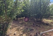 Finca rústica en venta en la España, Vilallonga del Camp, ref: TR210354 foto