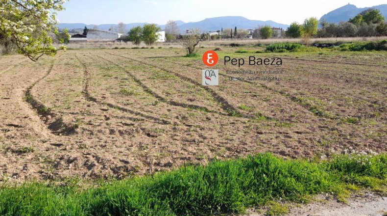 Alicante - Muro de Alcoy - 1670m2