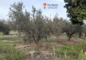 Finca rústica en venda a la España, Muro d'Alcoi, ref.: TR62663 foto