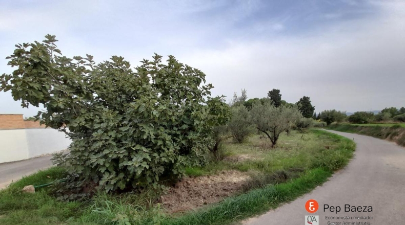 Alicante - Muro de Alcoy - 3200m2
