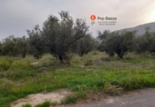 Finca rústica en venda a la España, Muro d'Alcoi, ref.: TR62663 foto