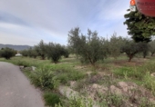 Finca rústica en venda a la España, Muro d'Alcoi, ref.: TR62663 foto