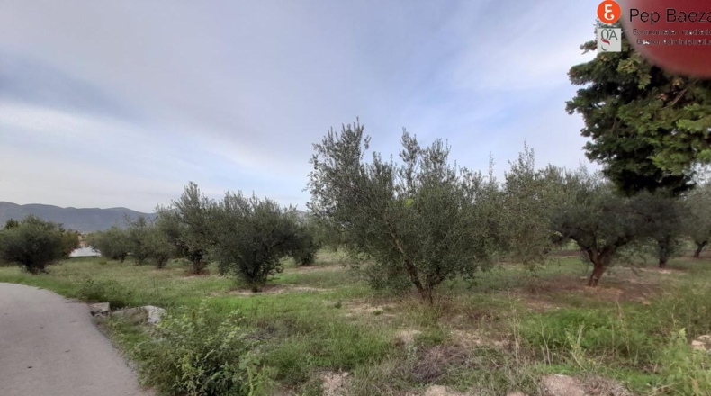 Alicante - Muro de Alcoy - 3200m2