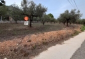 Finca rústica en venda a la España, Muro d'Alcoi, ref.: TR62662 foto