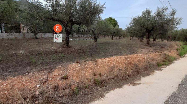 Alicante - Muro de Alcoy - 5000m2