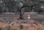 Finca rústica en venda a la España, Muro d'Alcoi, ref.: TR62662 foto