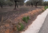 Finca rústica en venda a la España, Muro d'Alcoi, ref.: TR62662 foto