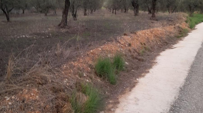 Alicante - Muro de Alcoy - 5000m2
