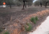 Finca rústica en venda a la España, Muro d'Alcoi, ref.: TR62662 foto
