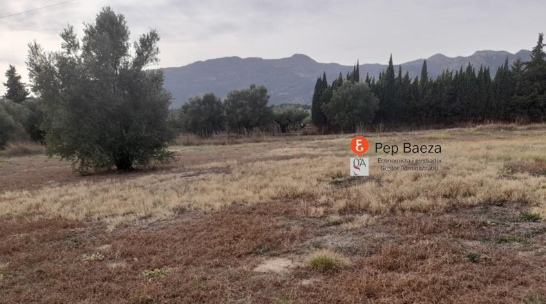 Alicante - Cela de Núñez - 2100m2