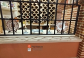 Casa de poble en venda a Muro d'Alcoi ref.: TR321749 foto