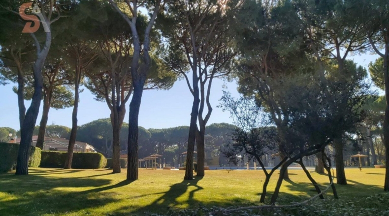 Valladolid - Tordesillas - 1640m2
