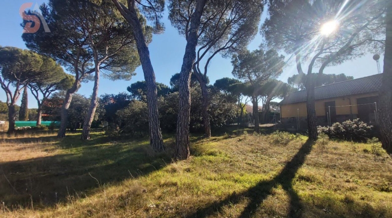 Valladolid - Tordesillas - 1640m2