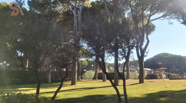 Valladolid - Tordesillas - 1640m2