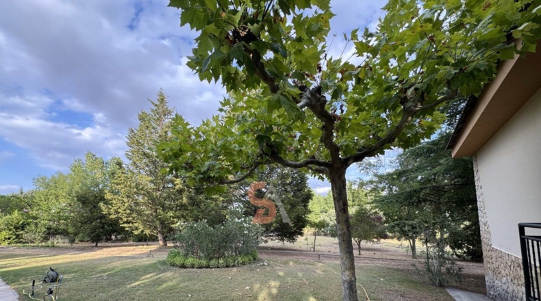 Valladolid - Cubillas de Santa Marta - 15000m2