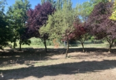 Finca rústica en venda a Cubillas de Santa Marta ref.: TR89182 foto