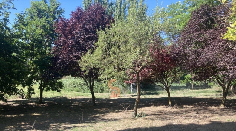 Valladolid - Cubillas de Santa Marta - 15000m2