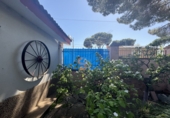 Chalet independiente con terreno en venta en Valladolid ref: TR232908 foto