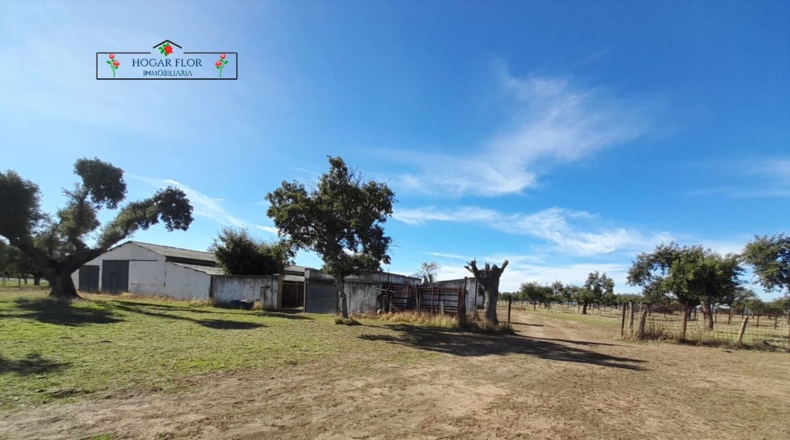 Salamanca - Carrascal del Obispo - 1672400m2