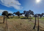 Finca rústica en venda a Carrascal del Obispo ref.: TR285335 foto