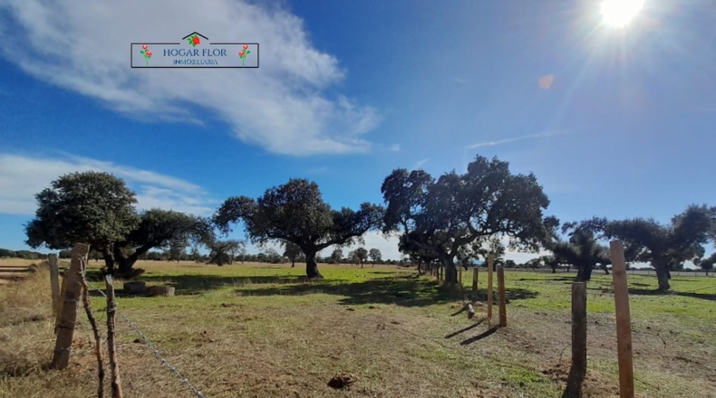 Salamanca - Carrascal del Obispo - 1672400m2