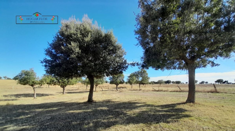 Salamanca - Carrascal del Obispo - 1672400m2