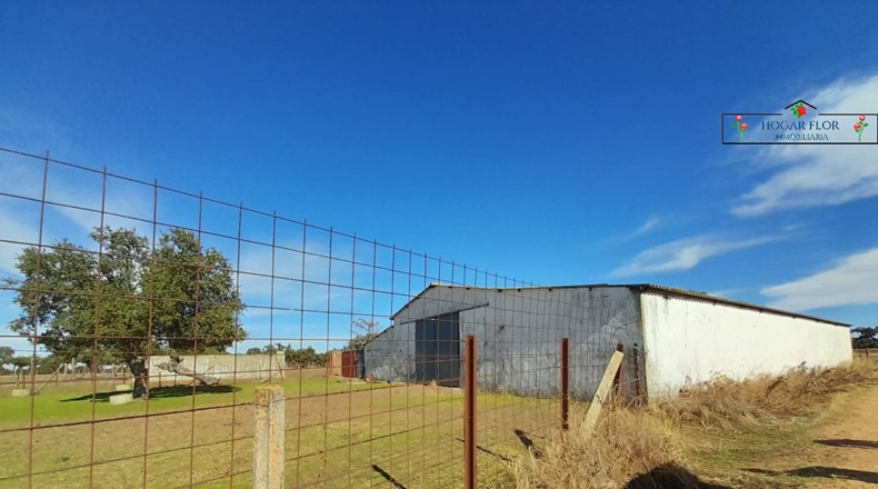 Salamanca - Carrascal del Obispo - 1672400m2