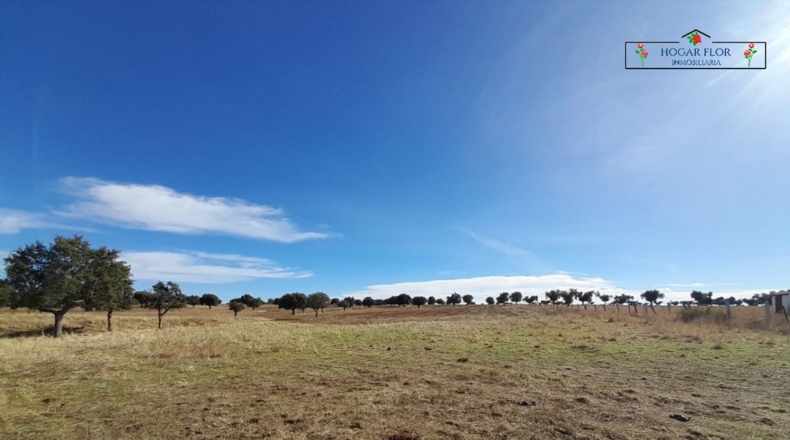 Salamanca - Carrascal del Obispo - 1672400m2