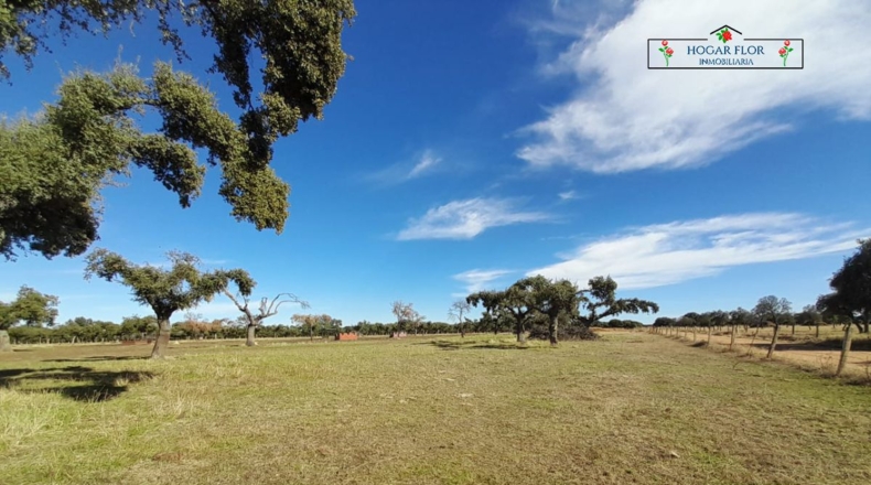 Salamanca - Carrascal del Obispo - 1672400m2