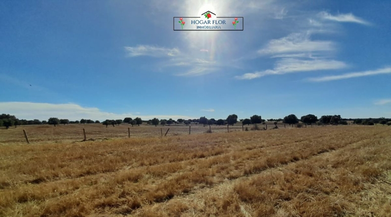 Salamanca - Carrascal del Obispo - 1672400m2