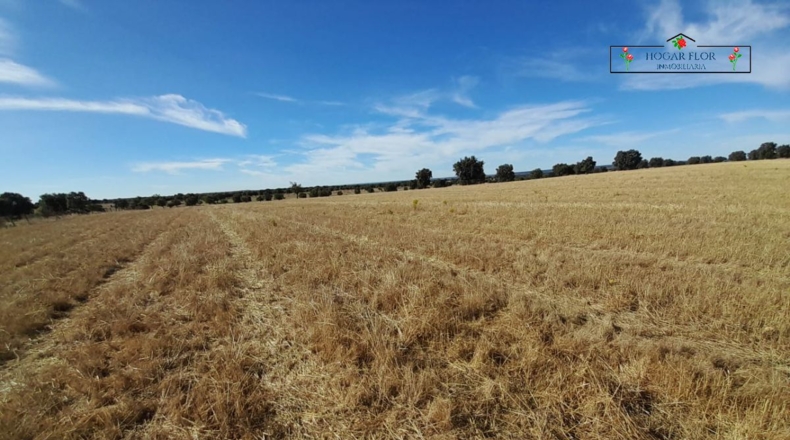 Salamanca - Carrascal del Obispo - 1672400m2