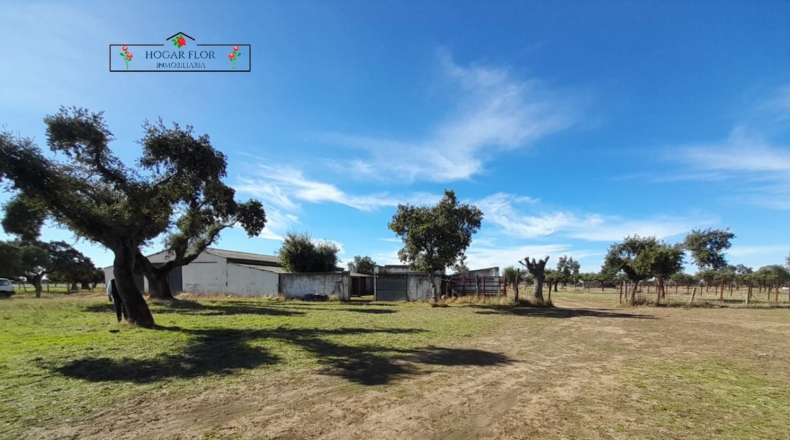 Salamanca - Carrascal del Obispo - 1672400m2