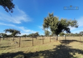 Finca rústica en venda a Carrascal del Obispo ref.: TR285335 foto