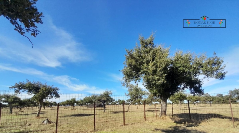 Salamanca - Carrascal del Obispo - 1672400m2