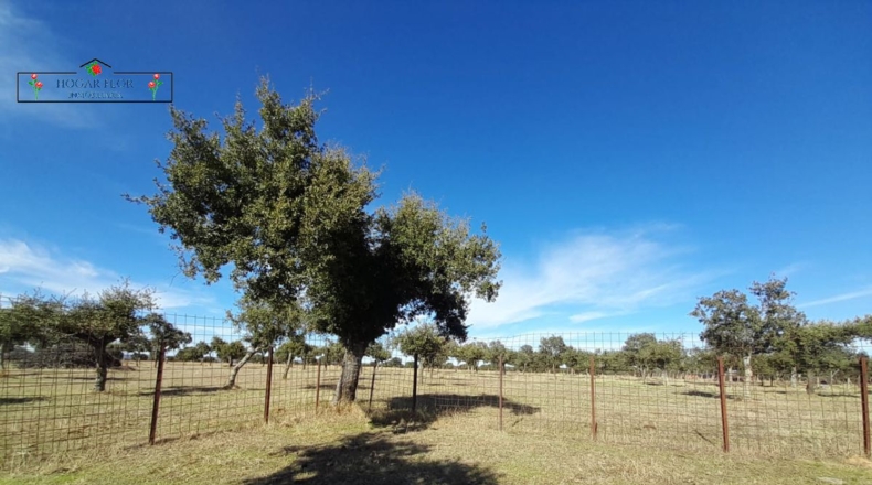 Salamanca - Carrascal del Obispo - 1672400m2