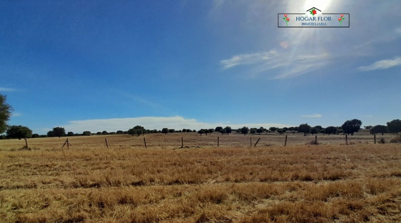 Salamanca - Carrascal del Obispo - 1672400m2