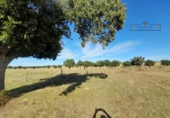 Finca rústica en venda a Carrascal del Obispo ref.: TR285335 foto
