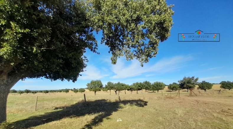 Salamanca - Carrascal del Obispo - 1672400m2
