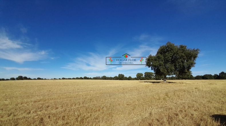 Salamanca - Carrascal del Obispo - 1672400m2