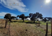 Finca rústica en venda a Carrascal del Obispo ref.: TR285335 foto