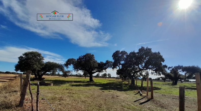 Salamanca - Carrascal del Obispo - 1672400m2