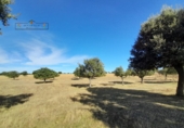 Finca rústica en venda a Carrascal del Obispo ref.: TR285335 foto
